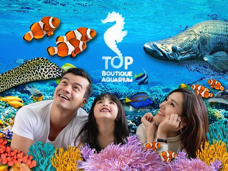 Boutique Aquarium Ticket at The TOP Penang - A small aquarium with close-up appeal