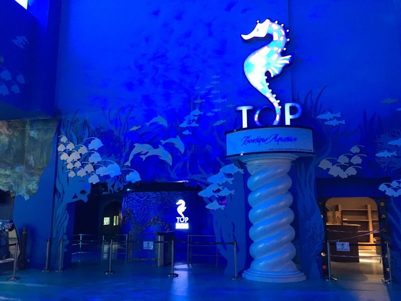 Boutique Aquarium Ticket at The TOP Penang - Is the price worthwhile?