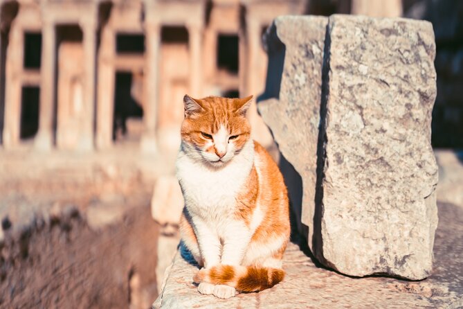 Boutique Ephesus Tour (All Inclusive) - Tour Schedule