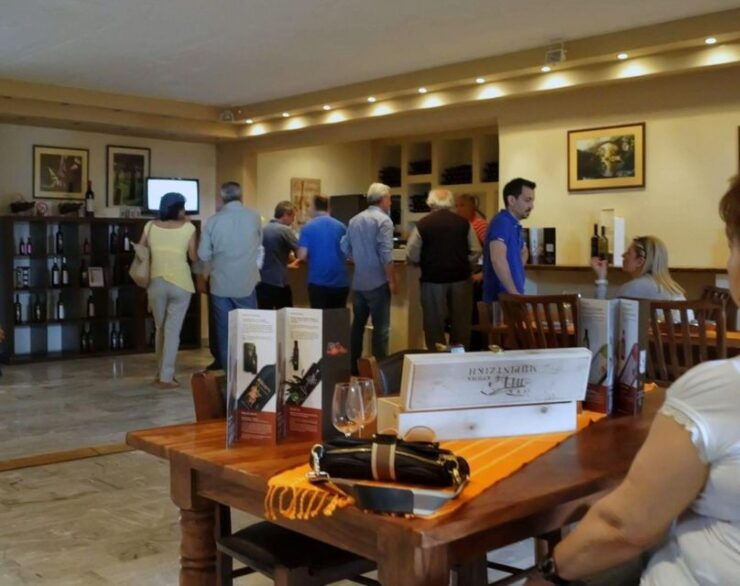 Boutique Expedition-Small Group, Olympia, Wine & Oil Taste - Activity Details