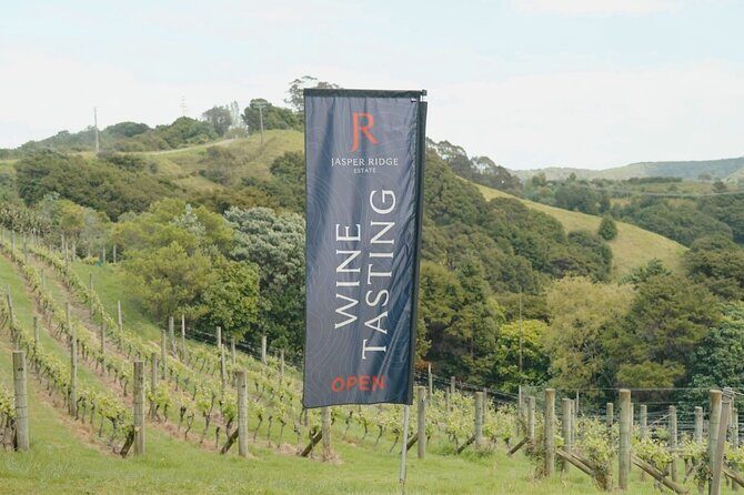 Boutique Waiheke Island Wine, Gin and Food Tour - Authentic Experiences and What Travelers Love