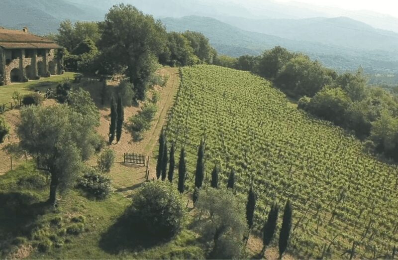 Boutique Winery Tour & Tasting in North Tuscany - Who Would Love This Tour?