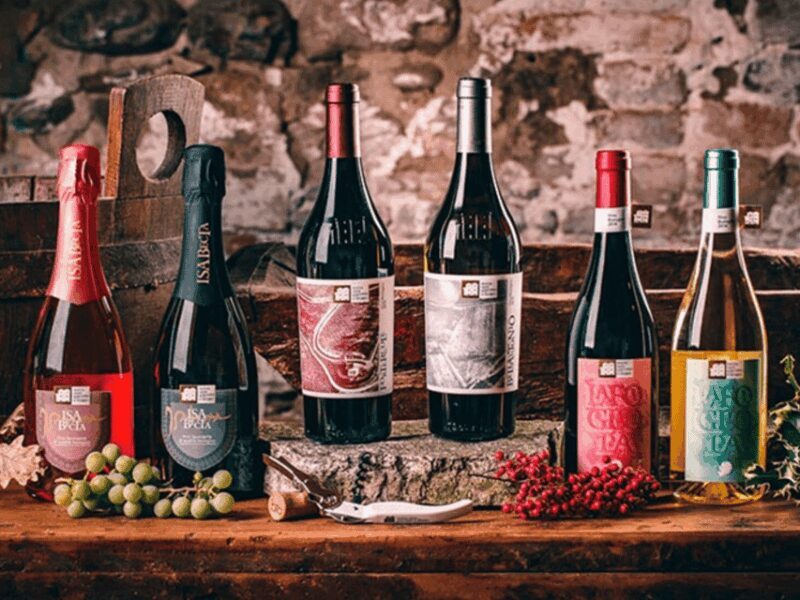 Boutique Winery Visit & 5 Organic Wine Tastings near Urbino - An In-Depth Look at the Experience