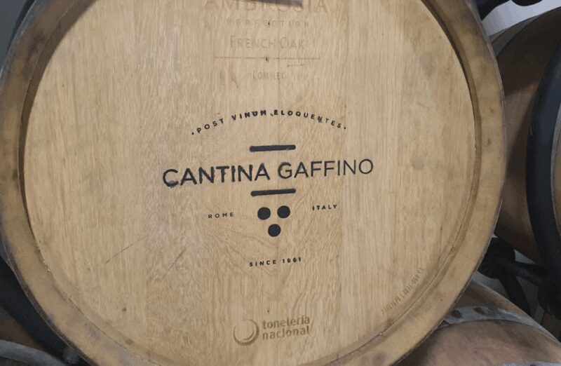 Boutique Winery Visit & Tasting near Rome - Boutique Winery Visit & Tasting near Rome