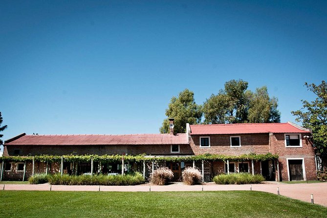 Bouza Winery Tastings and Tapas (Esp, Eng, Port) - Winery Overview and History