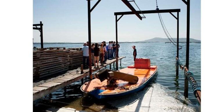 BOUZIGUES: TASTING VISIT TO AN OYSTER FACTORY - Important Information