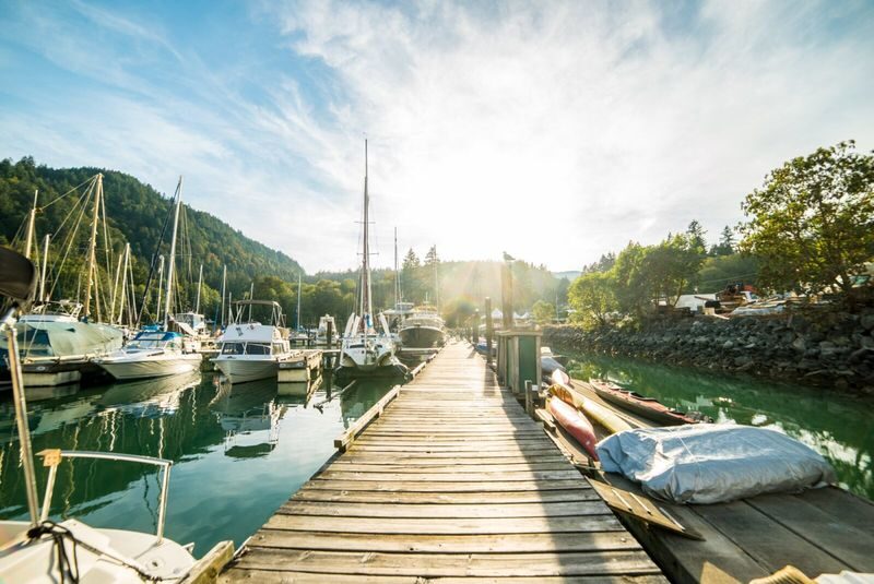 Bowen Island Dinner and Sightseeing Boat Tour in Vancouver - From Vancouver’s marina to the open coast