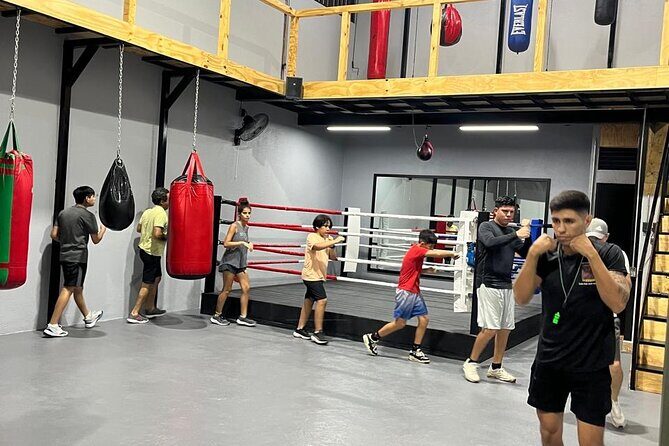 Boxing Puerto Vallarta Experience a day in the ring - Why This Experience Is Worth Considering