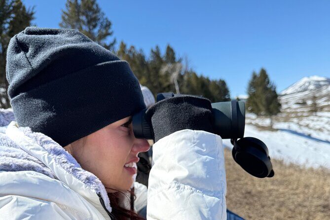 Bozeman Winter Wildlife Safari, Lamar Valley, Burrito and Lunch - The Sum Up