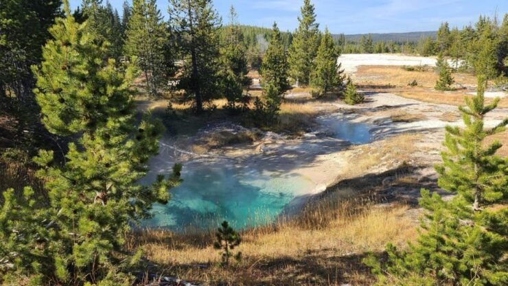 Bozeman: Yellowstone & Grand Teton National Park With Hotel - Activity Details