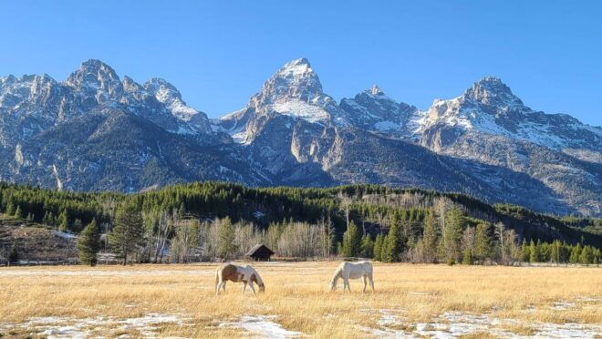 Bozeman: Yellowstone & Grand Teton National Park With Hotel - Itinerary - Day 5 Grand Teton National Park