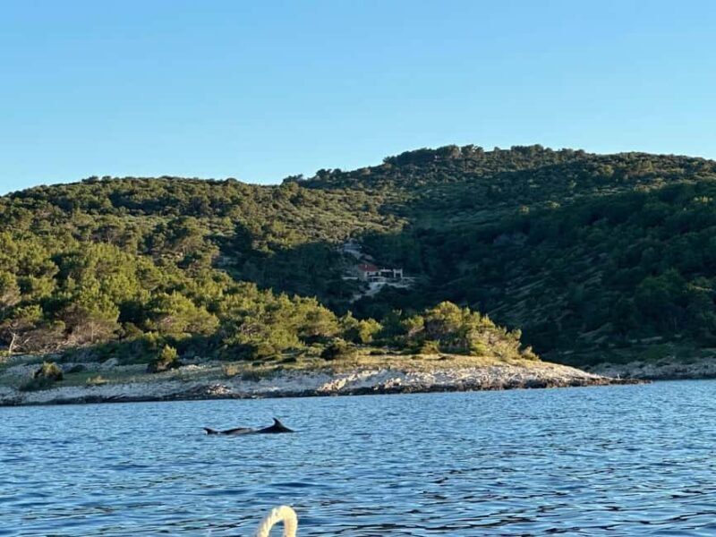 Bra: Adriatic Boat Tour with Vruja Bay and Brela Stone - The Sum Up