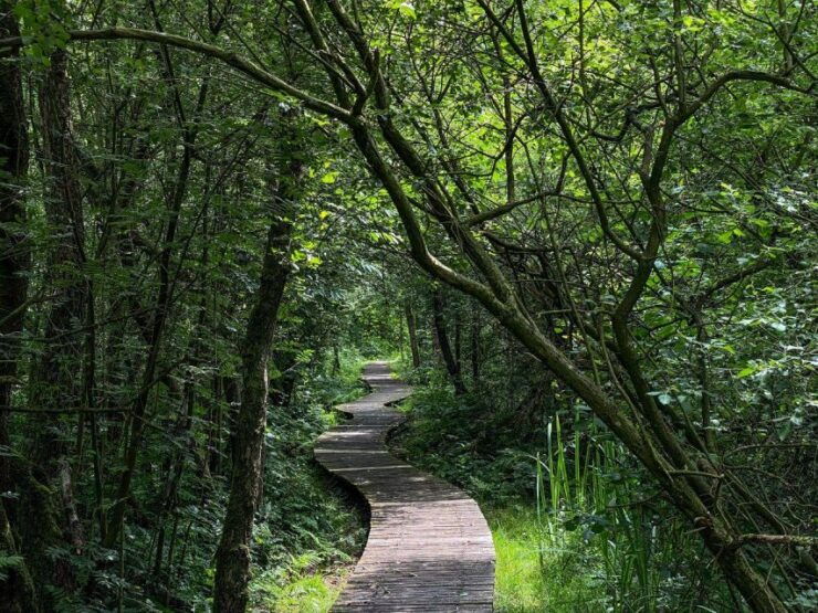 Brabant: Self Guided Road Trip Brabant - Experience the Beauty of Brabant