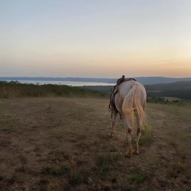 Bracciano: Horseback Ride in the Tolfa Mountains - Overview of the Bracciano Horseback Ride in the Tolfa Mountains