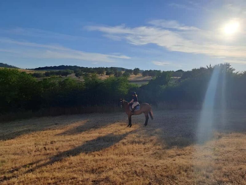 Bracciano: Horseback Ride in the Tolfa Mountains - What to Expect During the Tour
