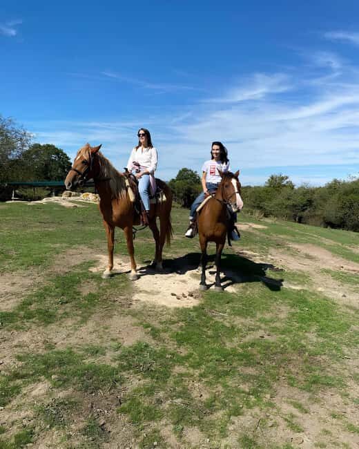 Bracciano: Horseback Ride in the Tolfa Mountains - Practical Details and Tips