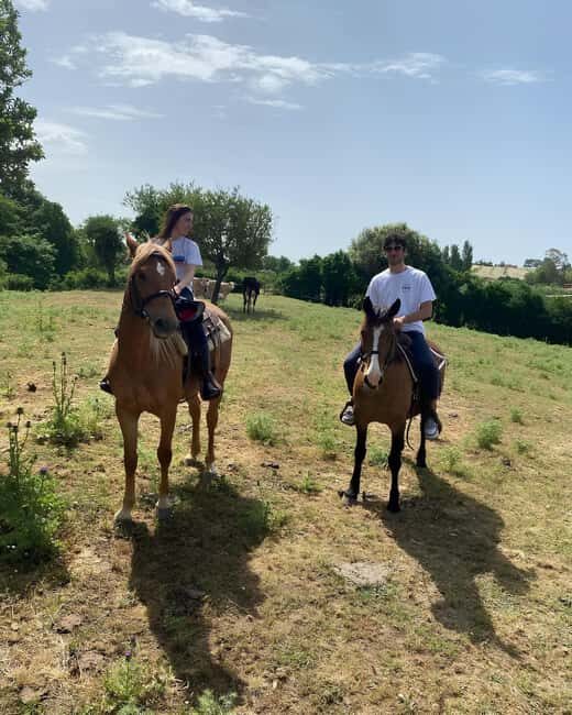Bracciano: Horseback Ride in the Tolfa Mountains - Who Will Enjoy This Tour?
