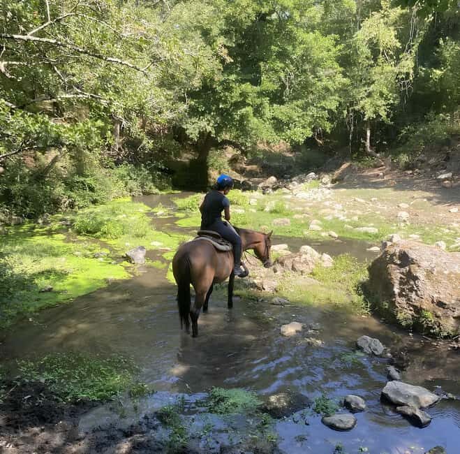 Bracciano: Horseback Ride in the Tolfa Mountains - FAQ