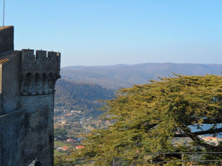 Bracciano: Odescalchi-Orsini Ancient Castle Tour With Lunch - Good To Know