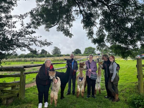 Brackenfield: Alpaca Trek - Farm Location and Accessibility