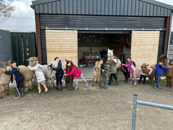 Brackenfield: Alpaca Trek - Outdoor Wear and Preparation