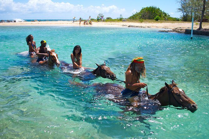 Braco Stables Horseback Ride & Swim Excursion from Ocho Rios - Good To Know