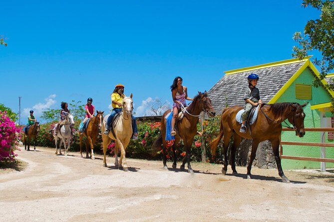 Braco Stables Horseback Ride & Swim Excursion from Ocho Rios - What to Expect from the Tour