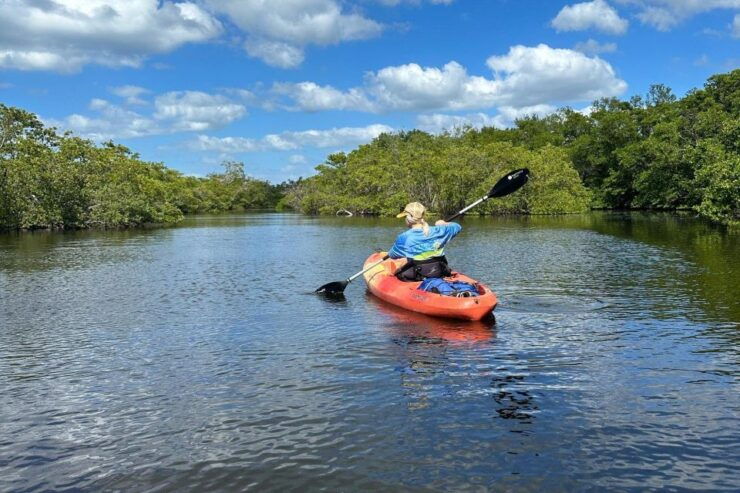Bradenton: Anna Maria Island Guided Kayaking Manatee Tour - Location and Provider
