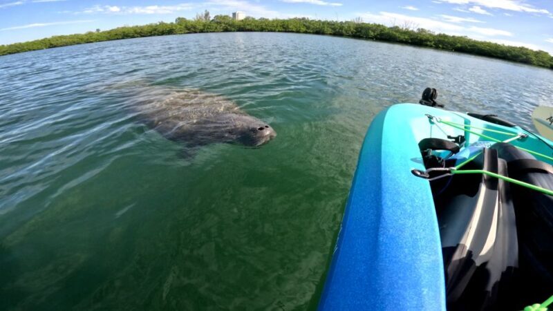 Bradenton: Guided Pedal Kayak Tour - FAQ
