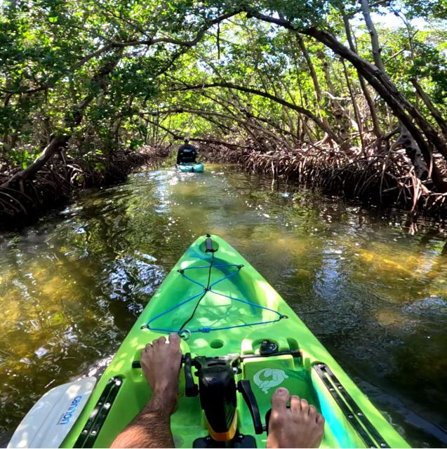 Bradenton: Guided Pedal Kayak Tour - Itinerary