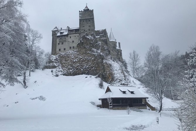 Bran and Rasnov Castles Tour From Brasov - Reviews Summary