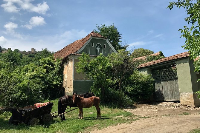 Bran and Rasnov Castles Tour From Brasov - Frequently Asked Questions
