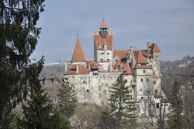 Bran Castle and Rasnov Fortress Tour From Brasov With Entrance Fees Included - Optional Peles Castle Visit - Meeting and Pickup Details