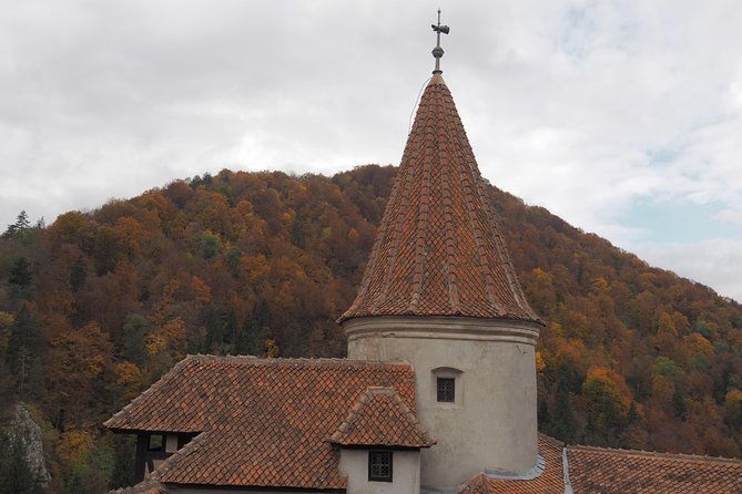 Bran Castle and Rasnov Fortress Tour From Brasov With Entrance Fees Included - Optional Peles Castle Visit - Rasnov Fortress Exploration