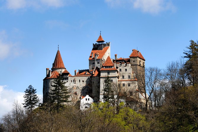 Bran Castle and Rasnov Fortress Tour From Brasov With Optional Peles Castle Visit - Tour Highlights