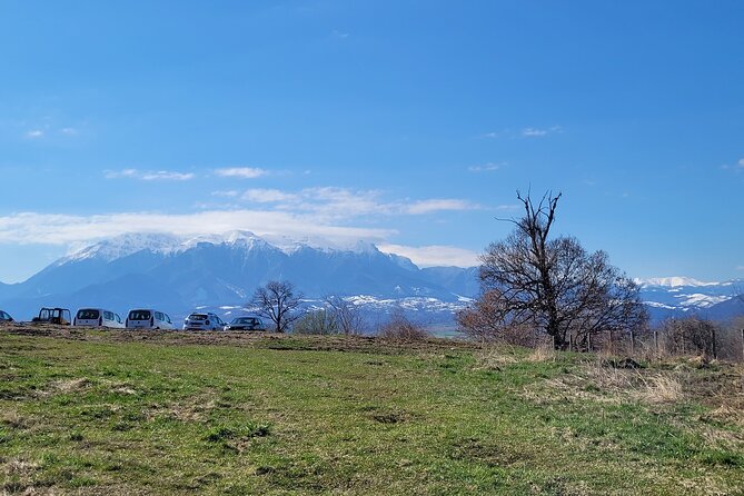Bran Castle & Bear Sanctuary From Brasov - Optional Peles Castle - Additional Information