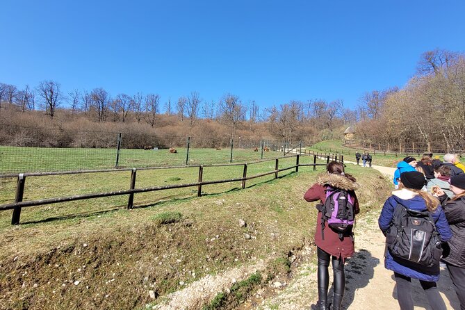 Bran Castle & Bear Sanctuary From Brasov - Optional Peles Castle - The Sum Up