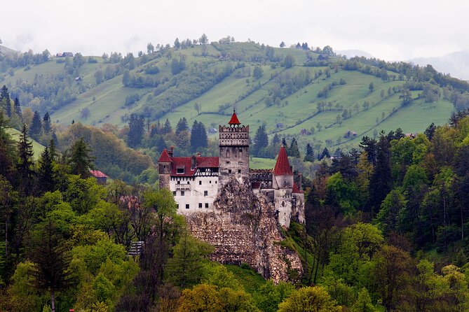 Bran Castle Entry Tickets - Castle Exploration Highlights
