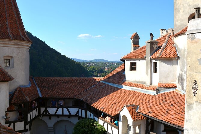 Bran Castle Entry Tickets - Visitor Feedback Summary