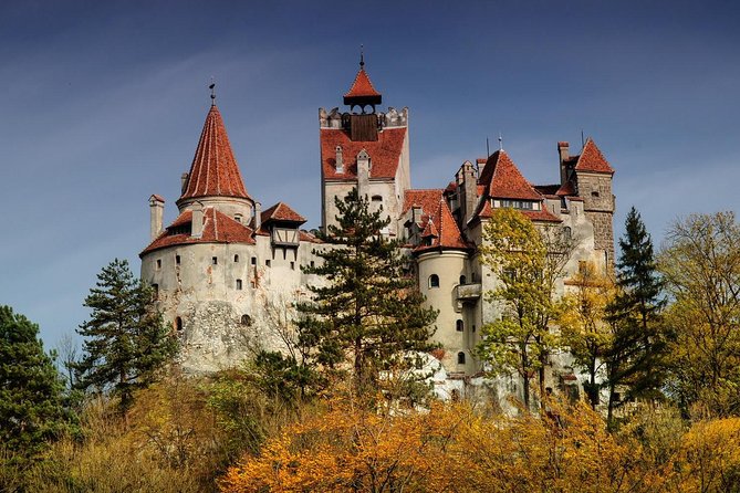 Bran Castle, Rasnov Fortress and Palinca Distillery Day Trip From Brasov - Inclusions and Exclusions