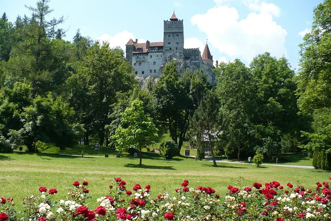 Bran Castle With Optional Bear Sanctuary From Brasov - What To Expect