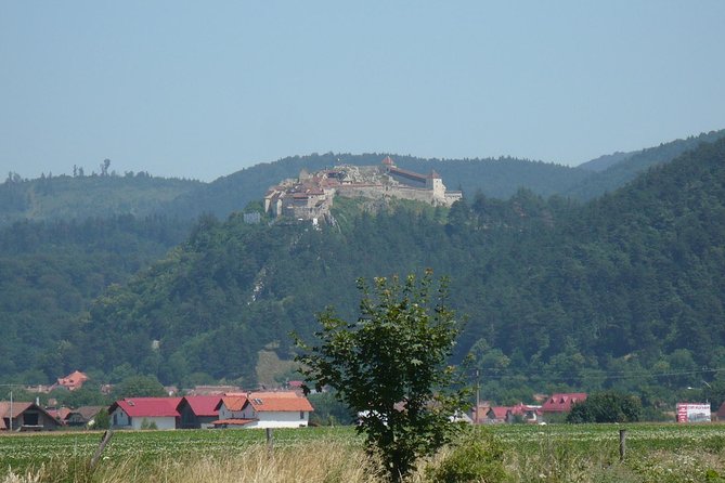 Bran Castle With Optional Bear Sanctuary From Brasov - Highlights