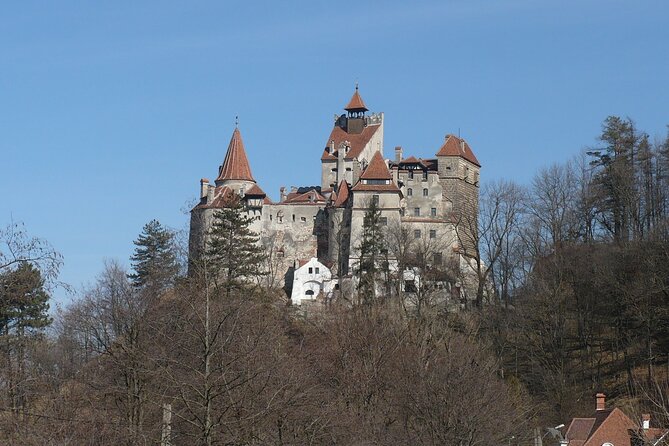 Bran Castle With Optional Bear Sanctuary From Brasov - Directions