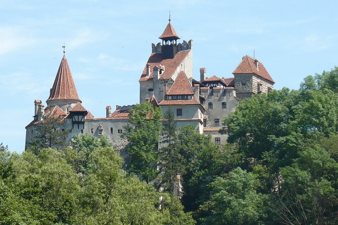 Bran Castle With Optional Bear Sanctuary From Brasov - Frequently Asked Questions