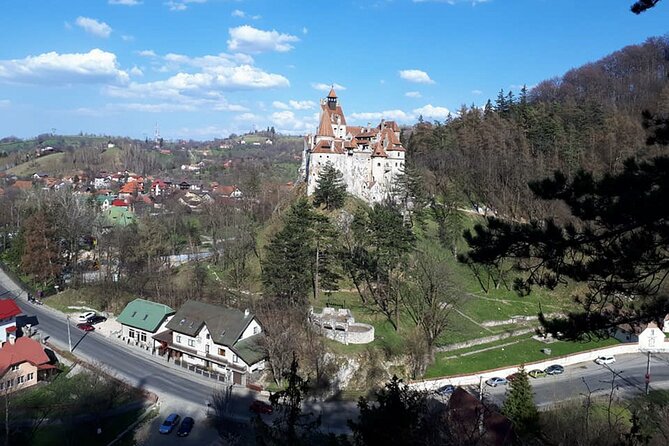 Bran Castle With Optional Bear Sanctuary From Brasov - The Sum Up