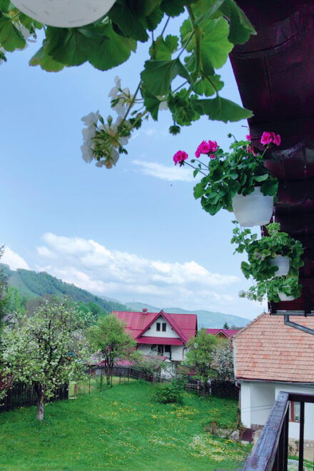 Bran: Rural Tour With Local Food & Accommodation in ȘImon - Engaging Activities
