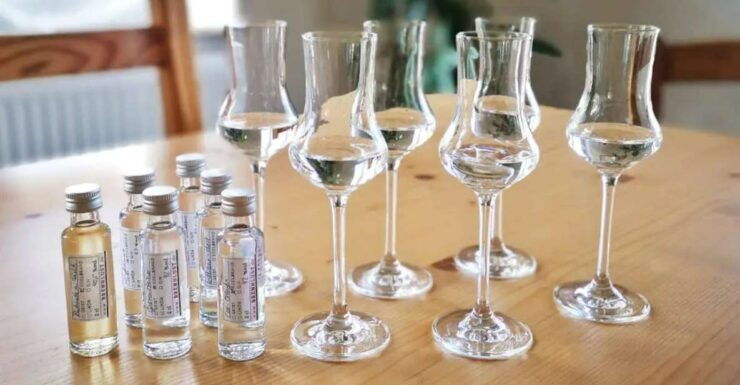 Brandy & Gin Tasting in a Traditional Distillery (English) - Activity Details