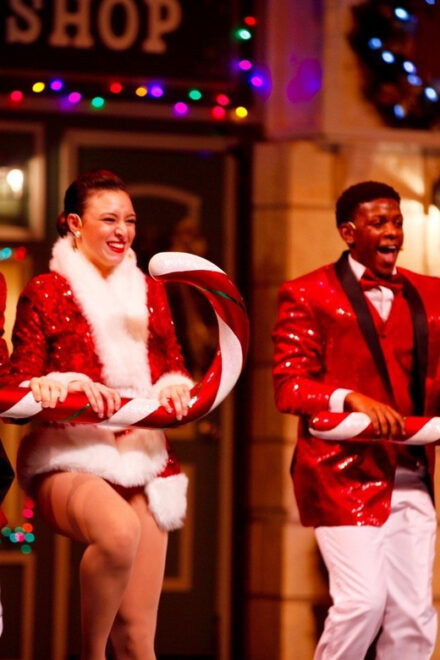 Branson: Christmas Wonderland Musical Theater Ticket - Show Components