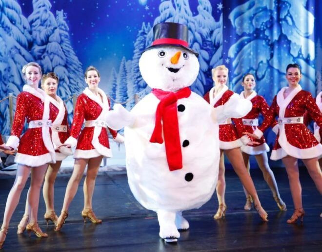 Branson: Christmas Wonderland Musical Theater Ticket - Accessibility and Amenities
