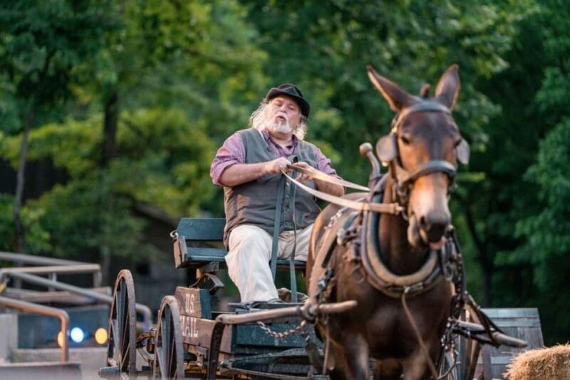 Branson: Chuckwagon Dinner Show and Outdoor Drama - The Sum Up